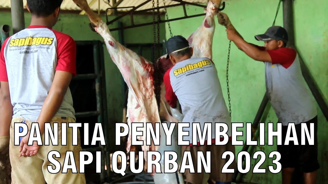 
                                 Panitia-Penyembelihan-Hewan-Qurban-2023